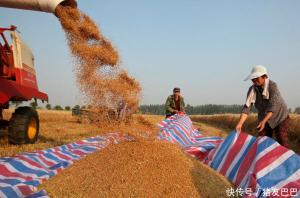 最新股票配资平台 油价跌猛了！4月29日：调价后92,95号汽油价格，麦价上涨坐火箭