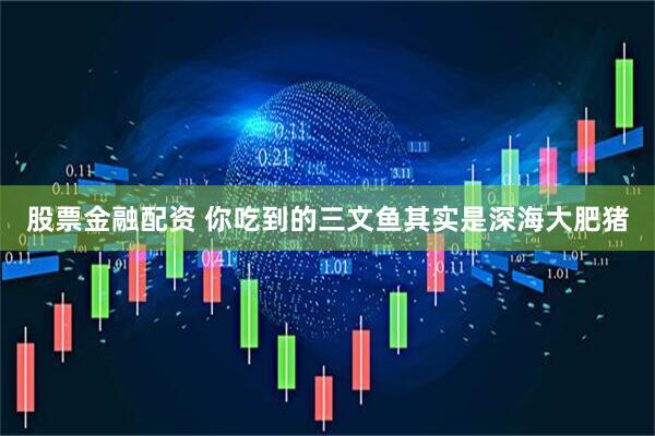 股票金融配资 你吃到的三文鱼其实是深海大肥猪